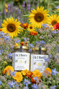 Loughborough Apiary Summer Honey