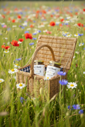 Griffydam Apiary Summer Honey